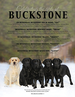 buckstone