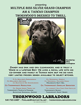 thornwood 7